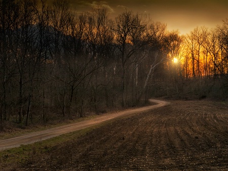 Solitary Lane