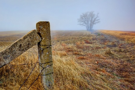 Foggy Weather