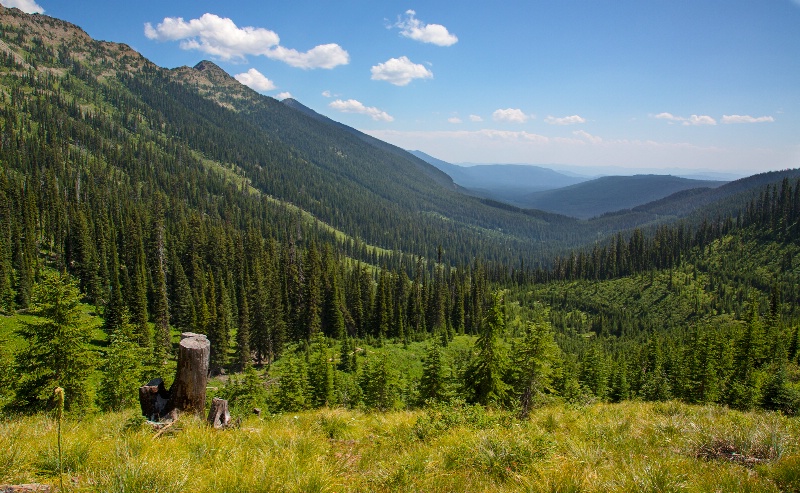 Swan Ridge Trail