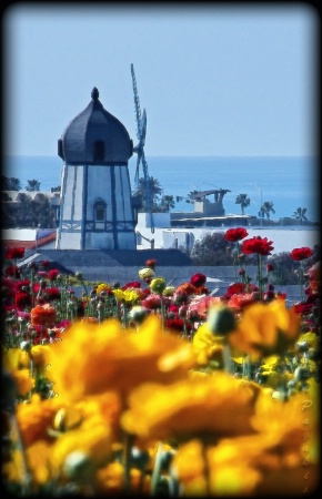 Visit Carlsbad 