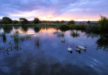 Sunset on the Macquarie River, Tasmania