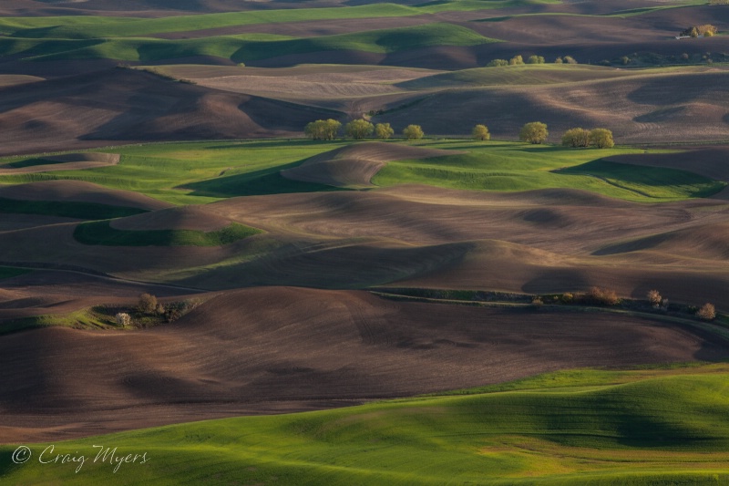 Palouse-Evening Shadows