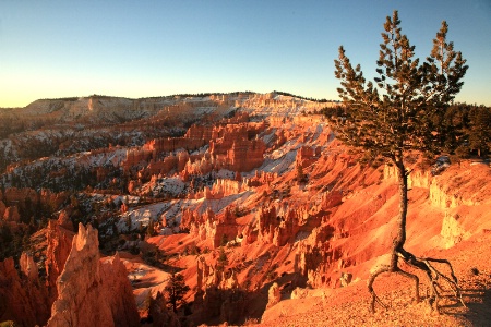 Bryce Canyon