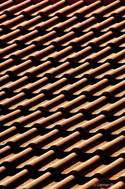 Waves on the Roof