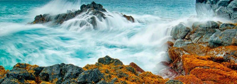 Lumaha'i Beach - Kauai