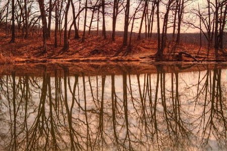 Maple Lake Reflections