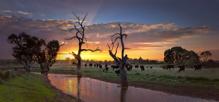 Casterton Creek