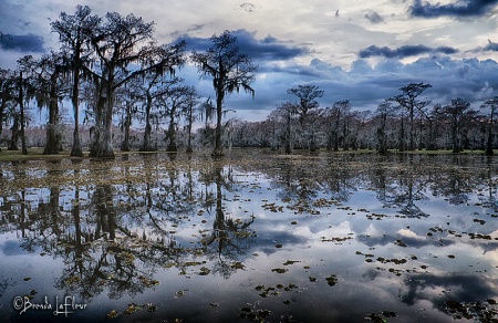 Caddo Lake 