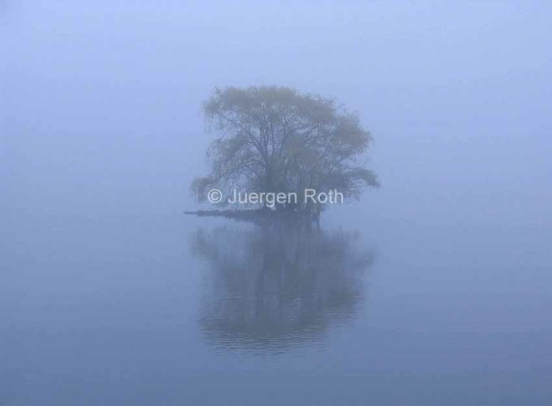 Misty Morning at Jamaica Pond - ID: 13801987 © Juergen Roth