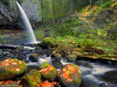 Ponytail Falls