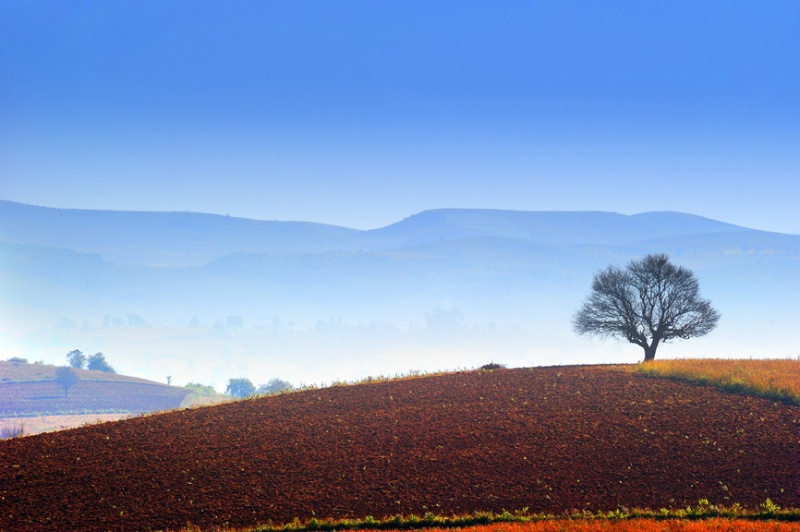 Scene of Winter in Shan State