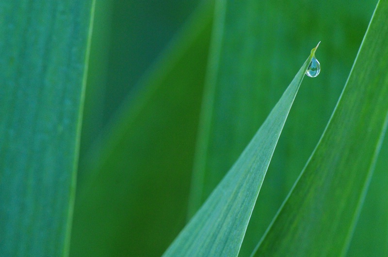 Bubble Blade