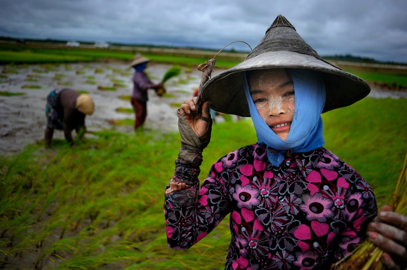 Burmese lady