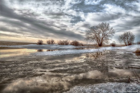 A Gentle Thaw on the Prairie