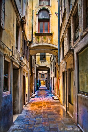  mg 5772 Venice Back Street After Rain