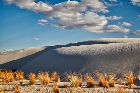 Encroaching Dunes