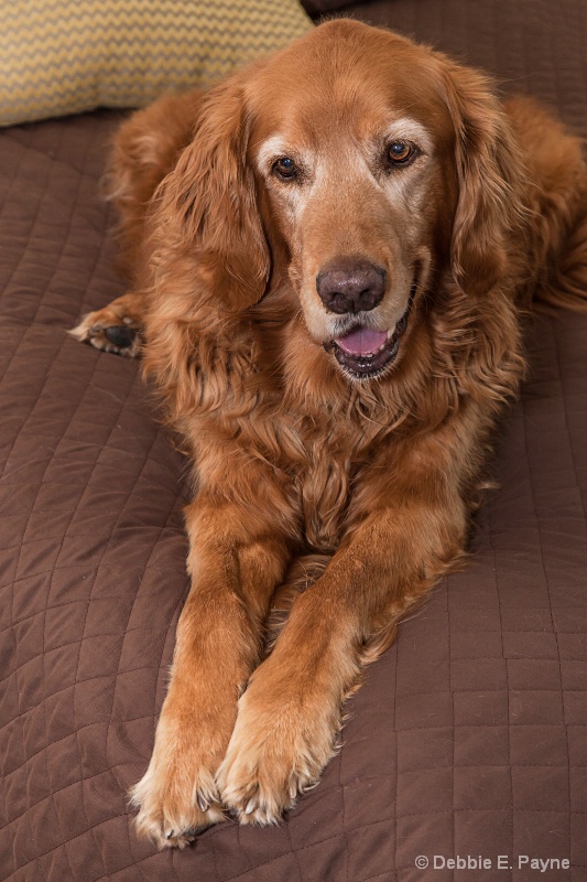 JUST HANGING OUT ON MIKE'S BED