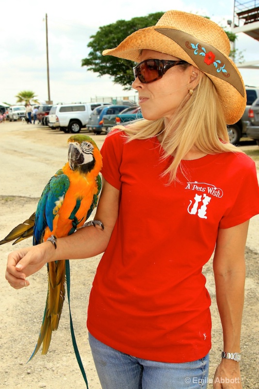 A Pets Wish Macaw