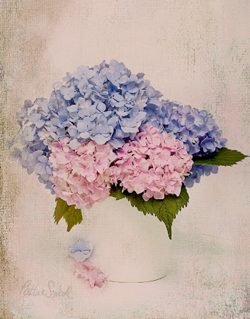 Painted Hydrangeas