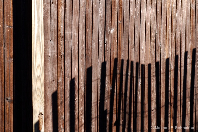 Fence Lines