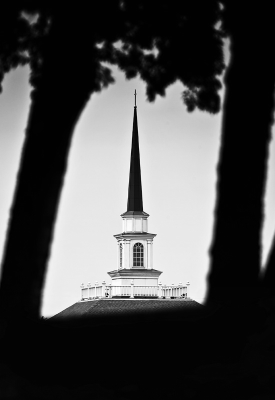 Tree-Framed