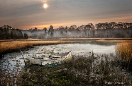 The Estuary