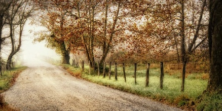 The Still of an Autumn Morning