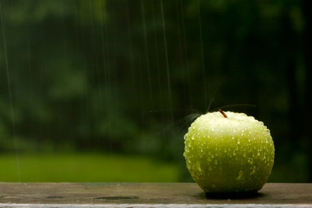 Apple in Rain                               