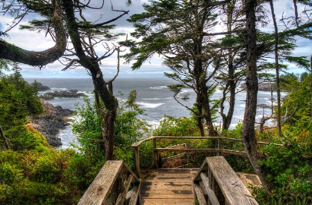 Walkway to the Ocean