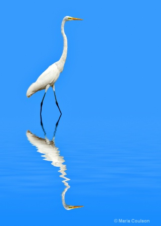 Egret