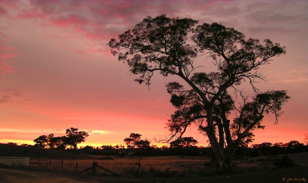 Canberra Sunrise