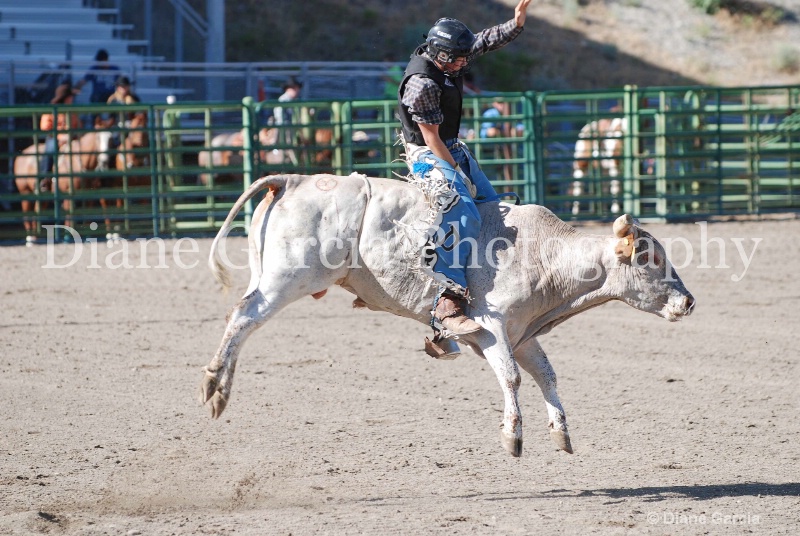 justin daley ujra finals 2013 2 - ID: 14021994 © Diane Garcia