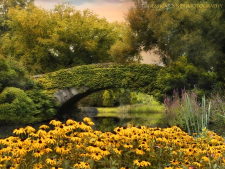 The Gapstow Bridge