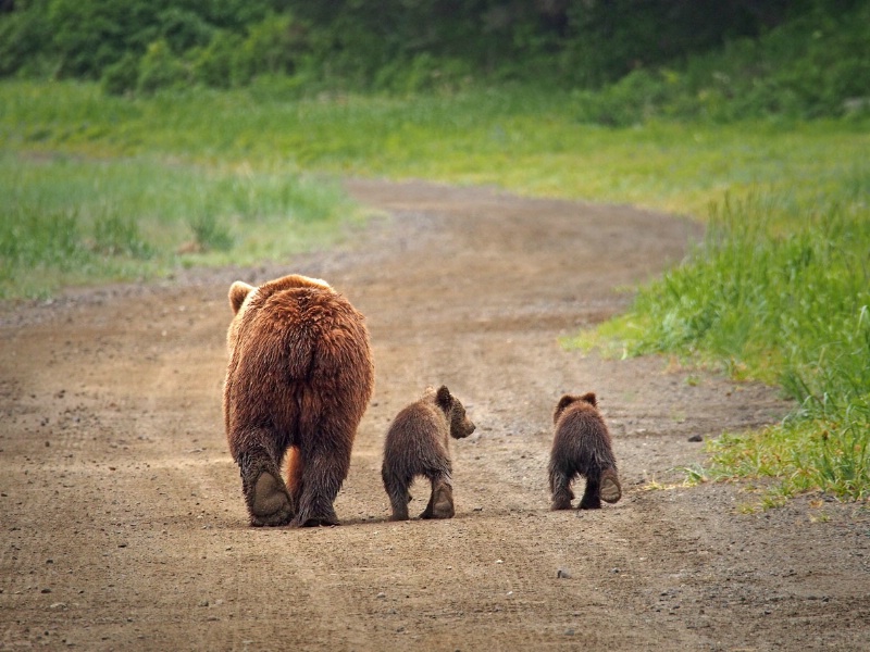 Makin' Tracks