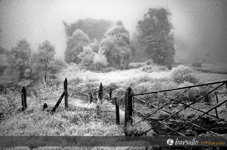 Mist in the mountain