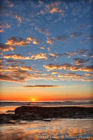 Low Tide Sensations