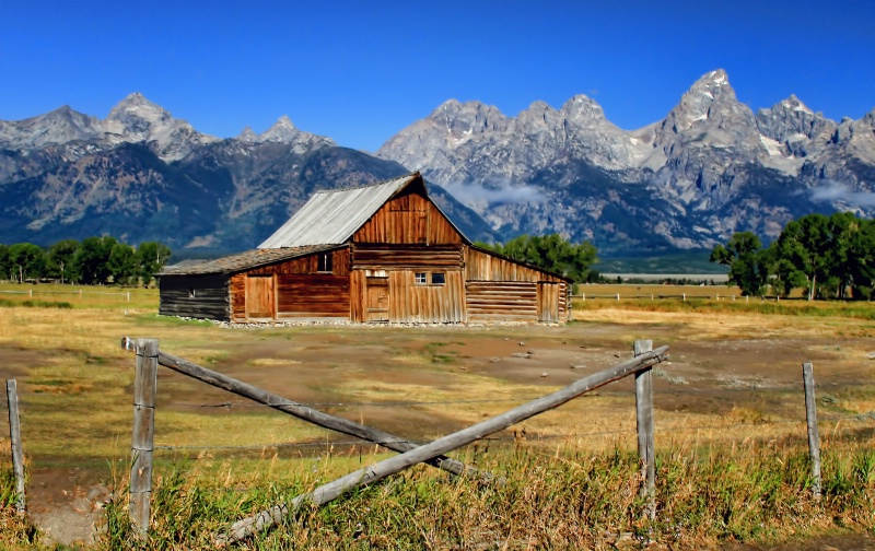 ~ TETON VIEW ~