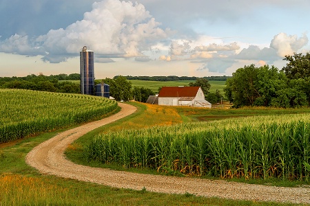 Country Scene