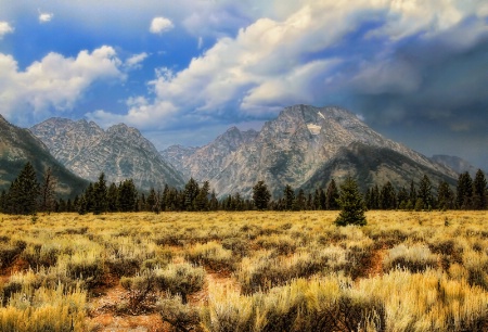 ~ TETON RAIN~