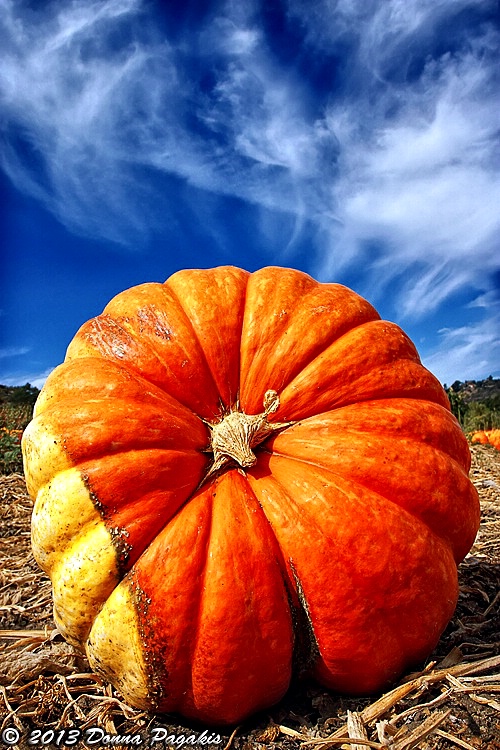 Granddaddy Pumpkin