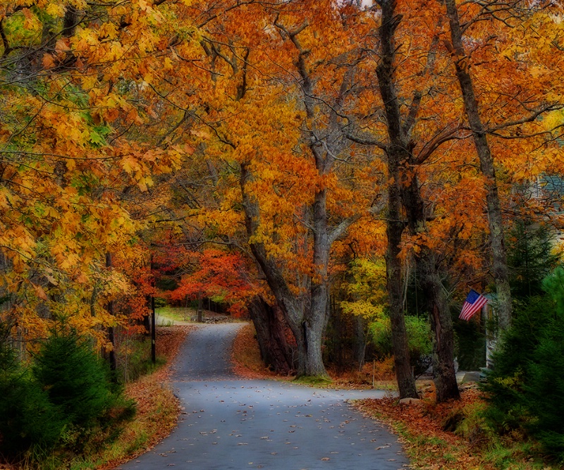 Driving Through Autumn