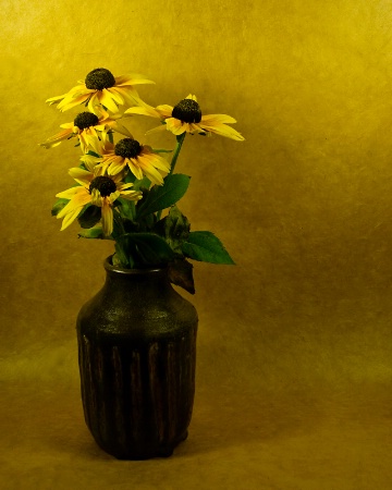 Rudbeckia II