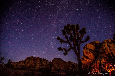 Joshua Under the Stars