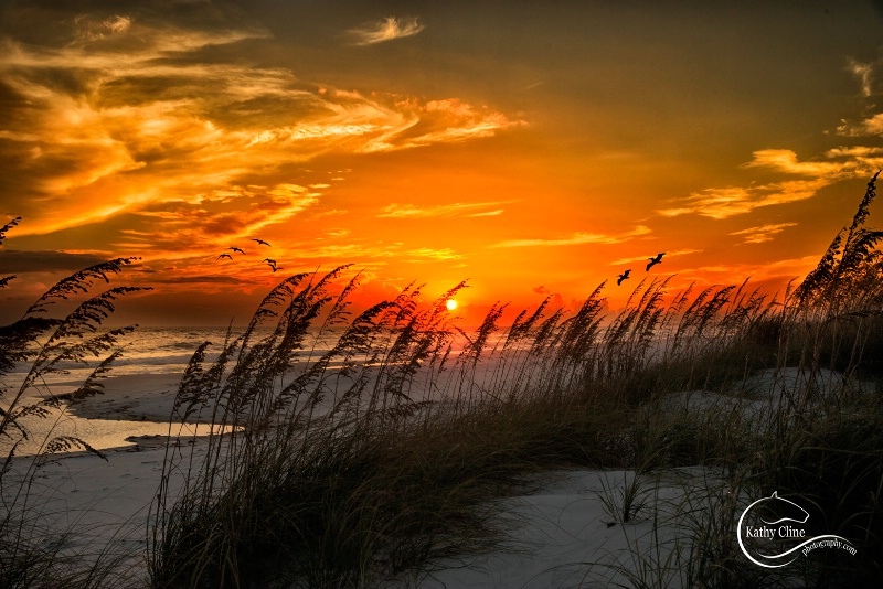 SUNSET National Sea Shore