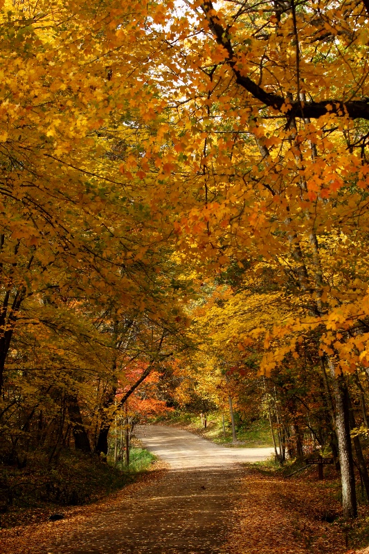 A Fork in the Road, Left or Right?