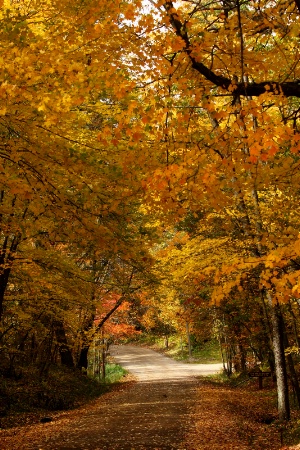 A Fork in the Road, Left or Right?