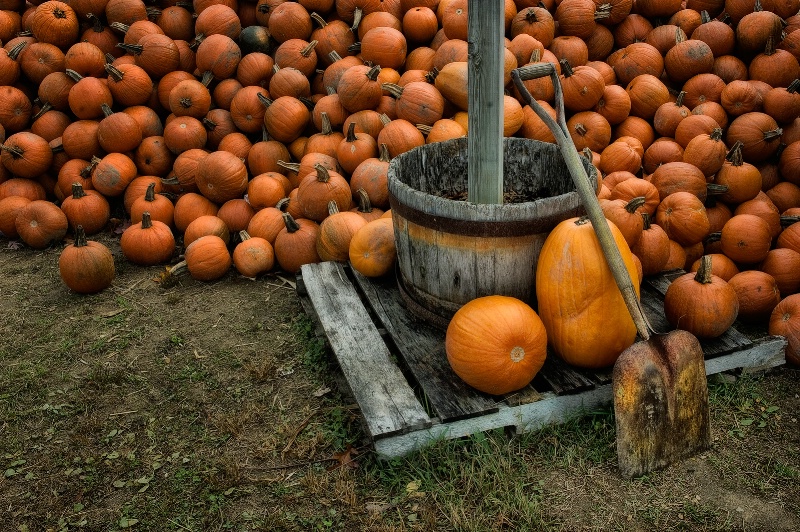 Pumpkin Pile