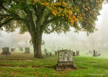 Under the Chestnut Tree