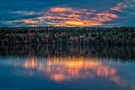 Rainy Reflection