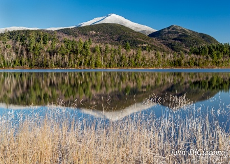 Connery Pond